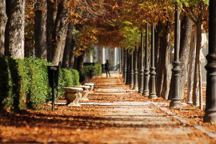 Acciona Service parques y jardines históricos Madrid