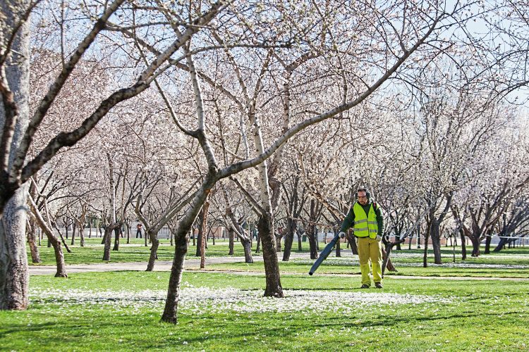 parques y jardines históricos de Madrid sopladora