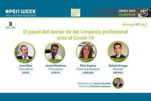 mesa redonda expertos. Cleaning Open day 2020