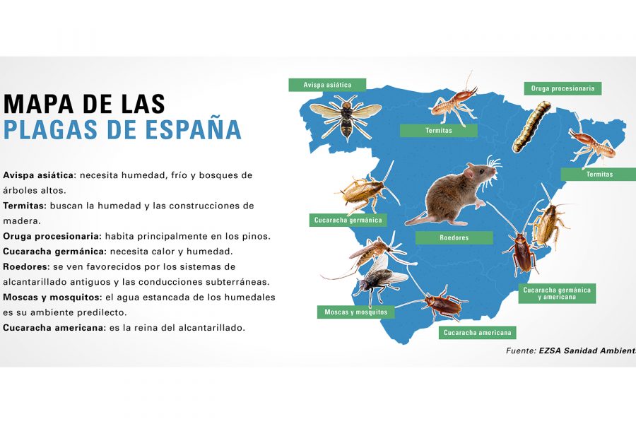 Mapa de plagas en España, según EZRA