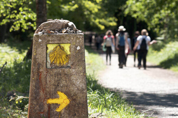 Chinches Camino de Santiago