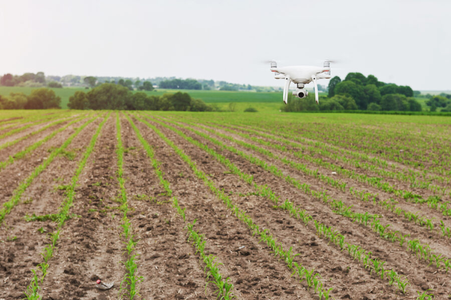 dron en el campo, control de plagas, drones