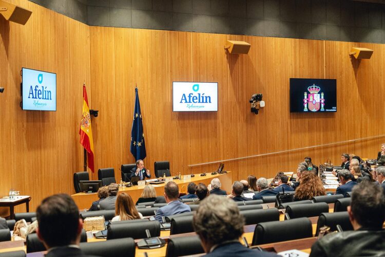 Imagen de asamblea de AFELÍN