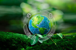 reciclaje sostenibilidad huella de carbono